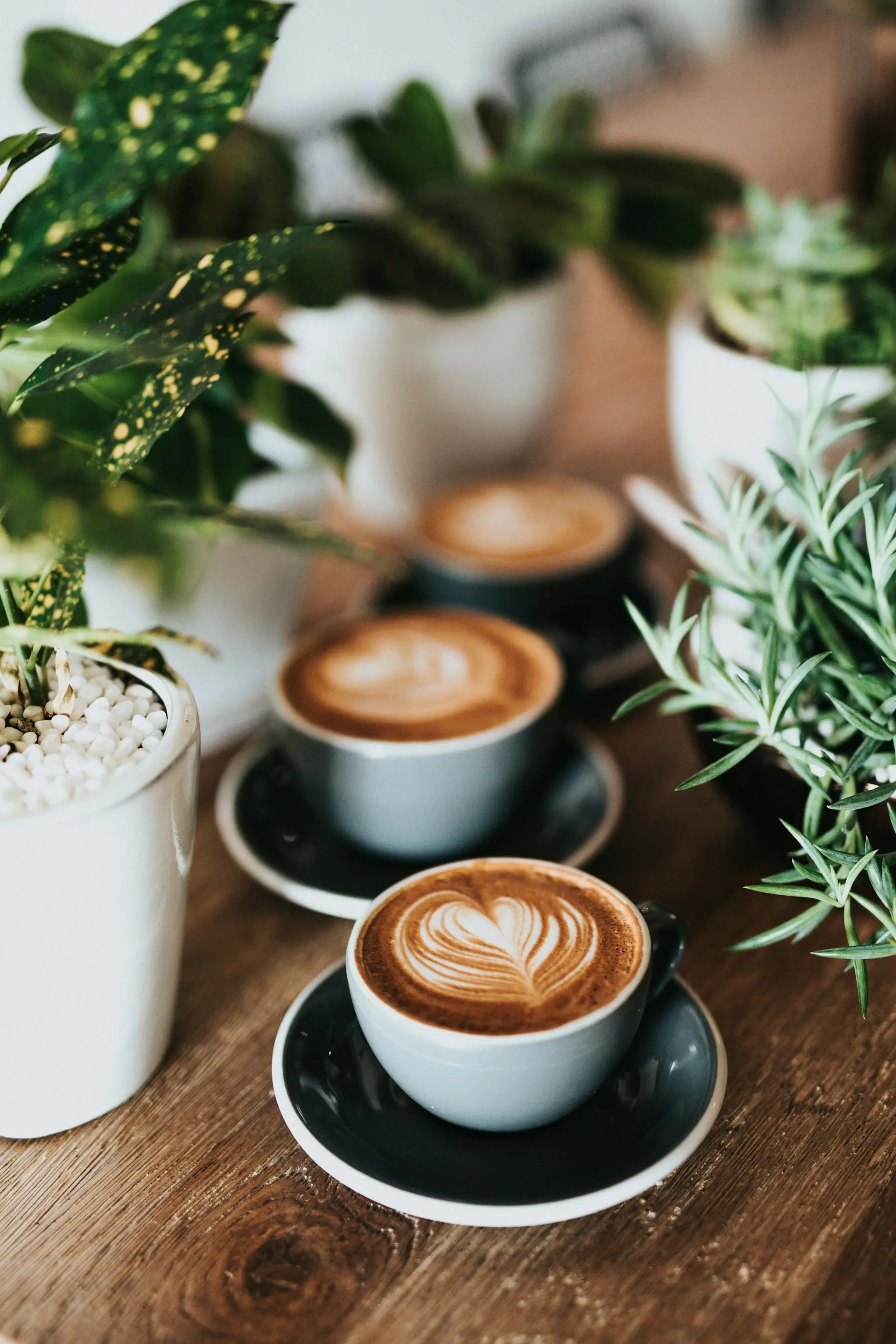 AURA COFFEEのラテアート